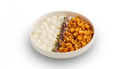 ALAYBEYOĞLU MANTISI